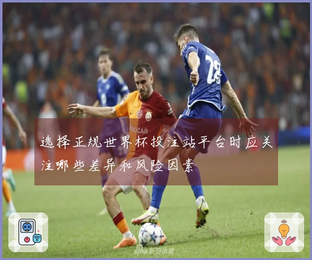 选择正规世界杯投注站平台时应关注哪些差异和风险因素