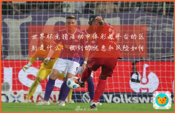 世界杯竞猜活动中体彩与平台的区别是什么，收到的优惠和风险如何分析