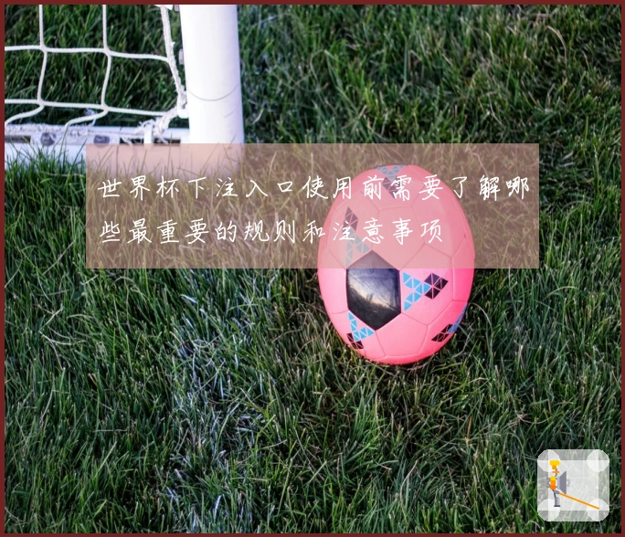 世界杯下注入口使用前需要了解哪些最重要的规则和注意事项