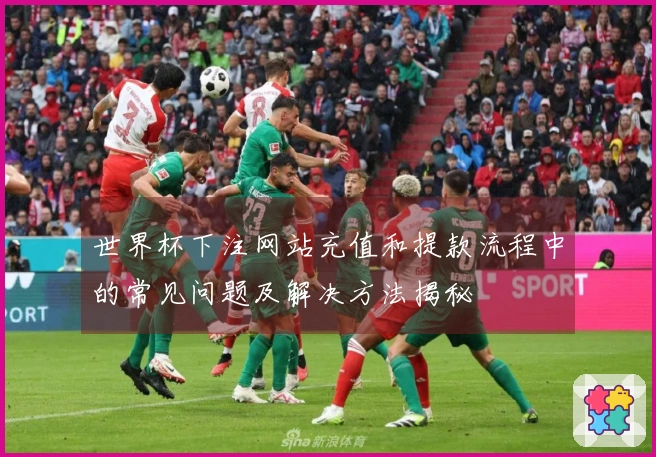 世界杯下注网站充值和提款流程中的常见问题及解决方法揭秘