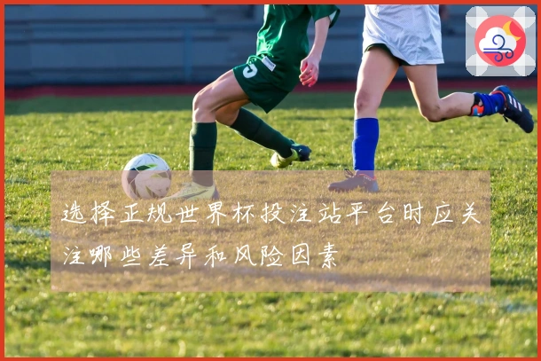 选择正规世界杯投注站平台时应关注哪些差异和风险因素