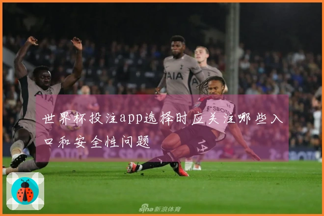 世界杯投注app选择时应关注哪些入口和安全性问题