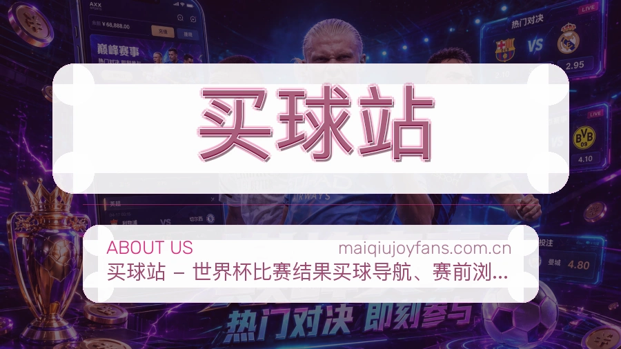 品牌公司与团队发展历程图